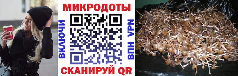 Псилоцибиновые грибы мицелий  наркошоп  Нязепетровск 